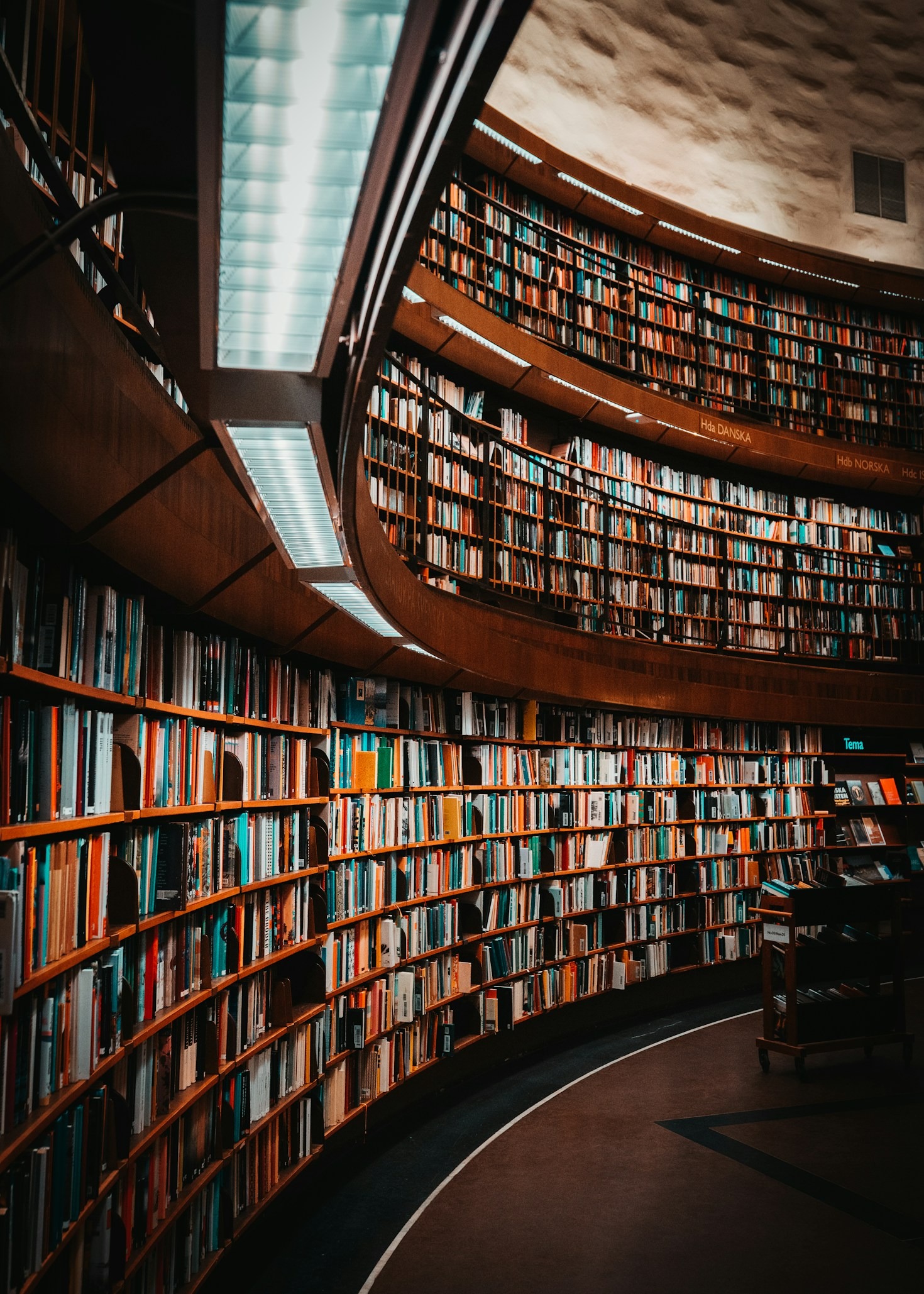Finding The Perfect Book For Quiet Evenings